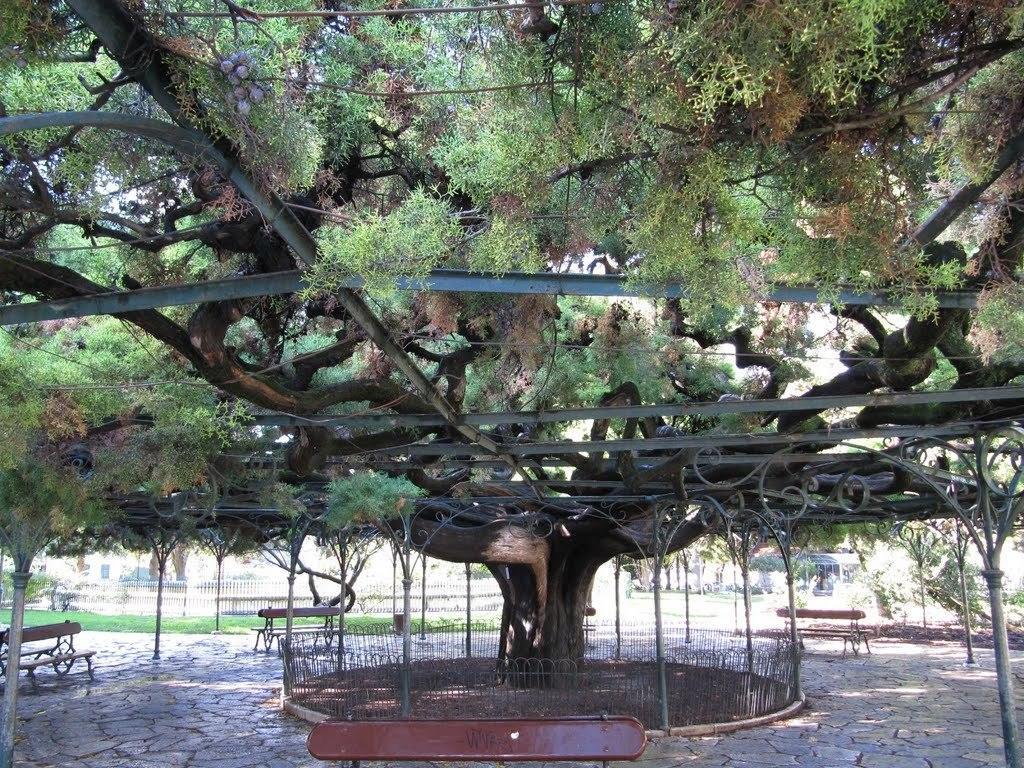 里斯本普林西比里尔我居公寓 Lisboa 外观 照片